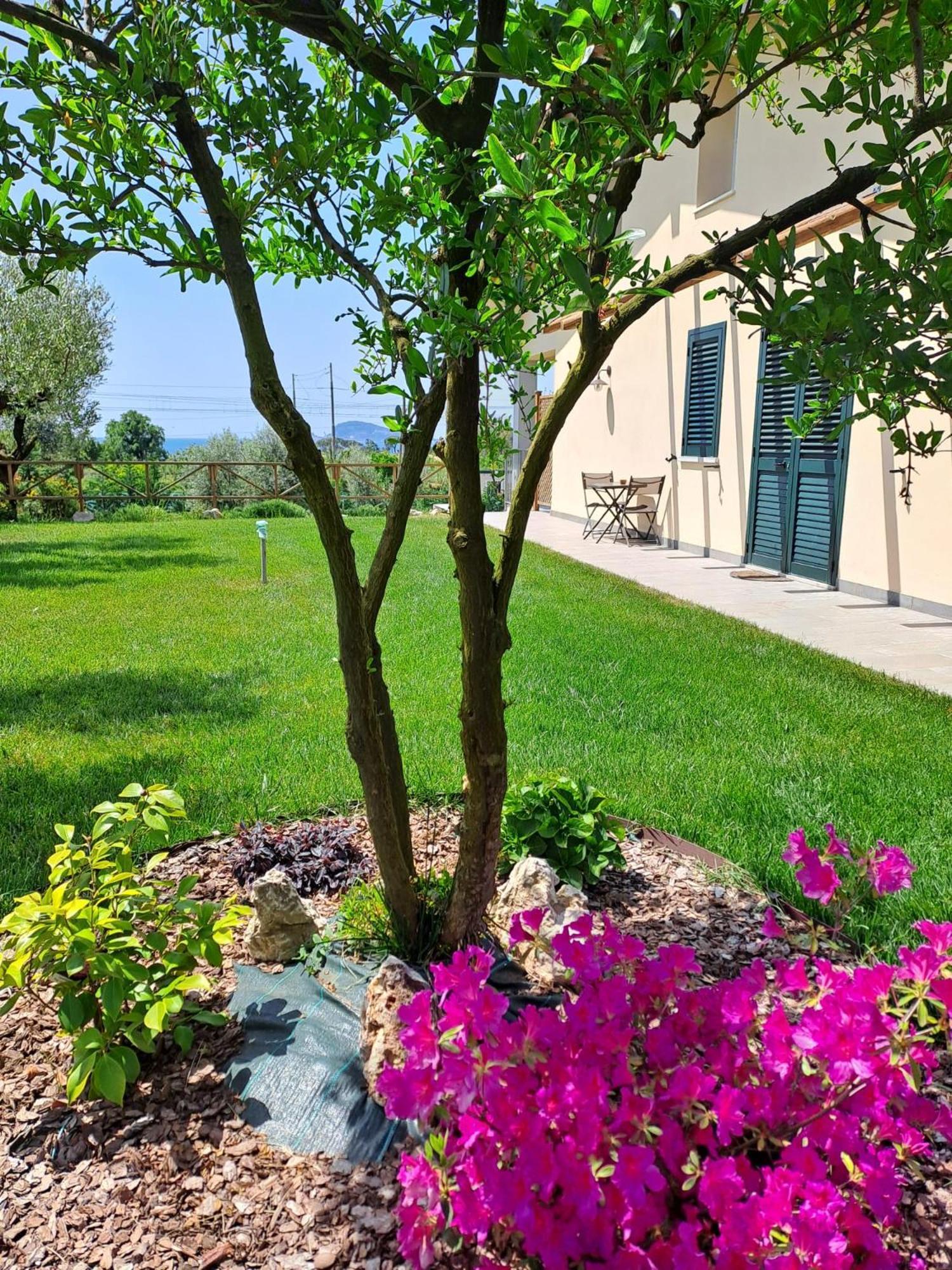 Bed & Breakfast La Campagna Di Peppe E Tullia Bed & Breakfast Formia Exterior photo